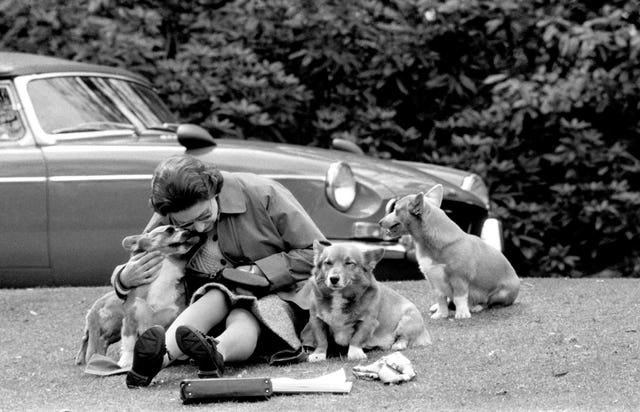 The Queen and her dogs 