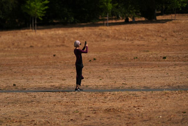 A person takes a photo while standing in a large area of dry, brown grass
