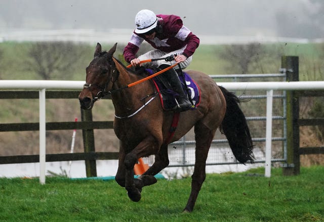 Death Duty is one of 11 entries for Gordon Elliott in the Goffs Thyestes Chase at Gowran Park later this month