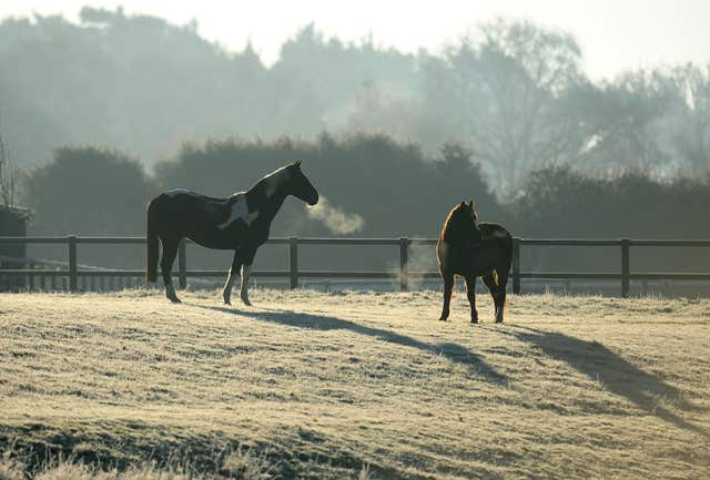 Horses stand in a frosty field (Clive Gee/PA)