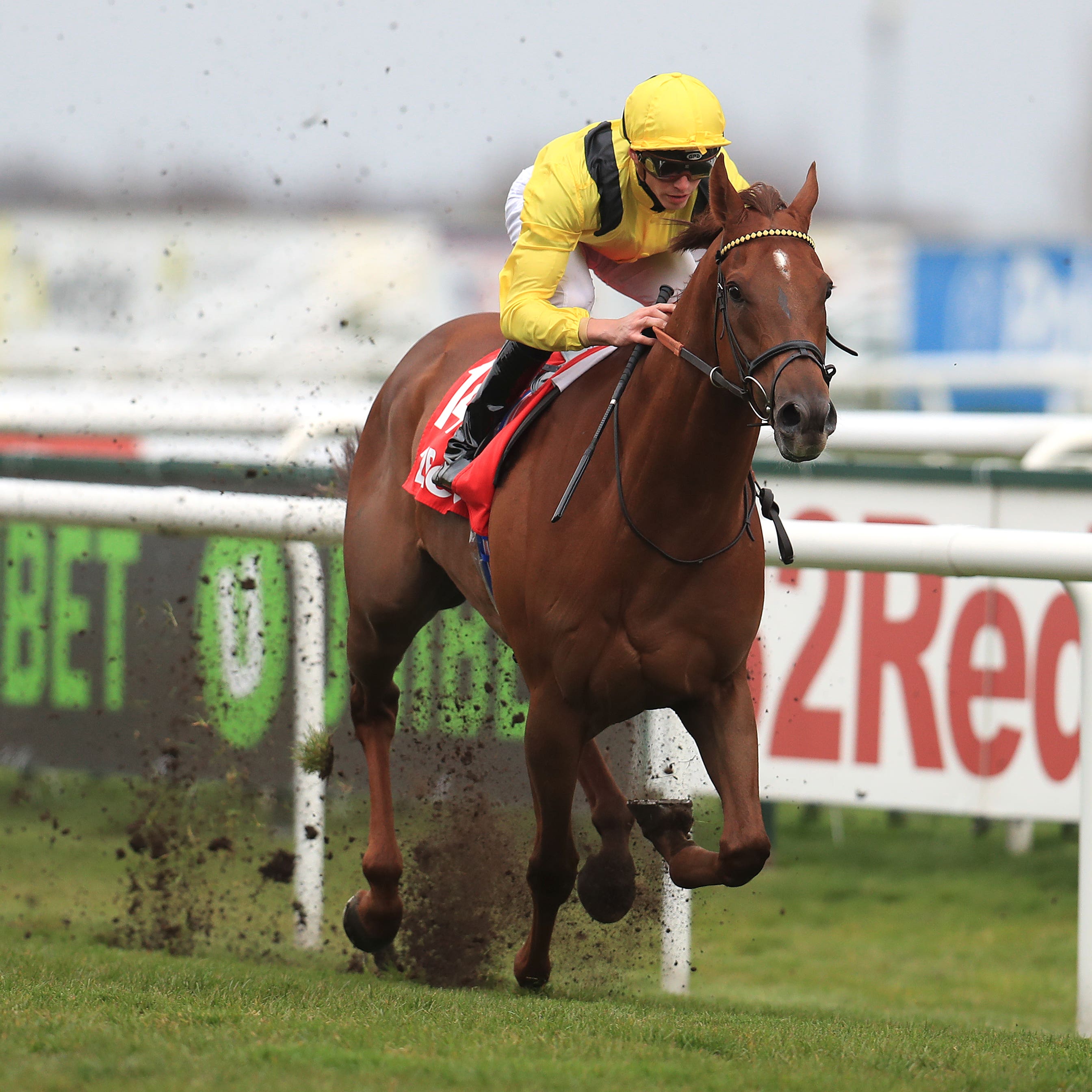 Addeybb is not a certain runner in the Irish Champion Stakes