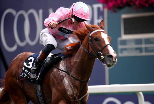 Live In The Dream winning the Nunthorpe last season 