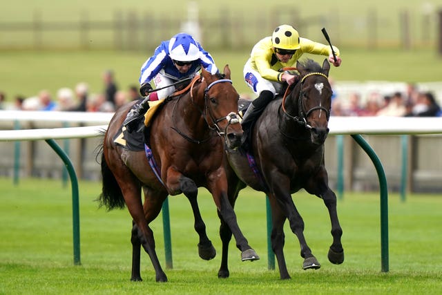 Inisherin (right) finishing second at Newmarket