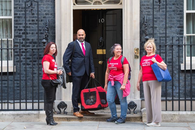 Downing Street dog