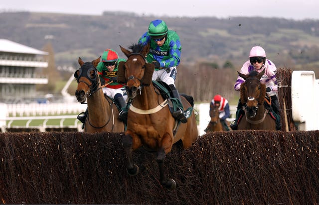 Ga Law at Cheltenham