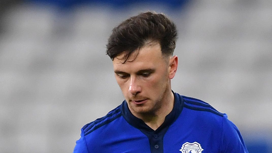 Mark Harris was Cardiff’s matchwinner (PA)