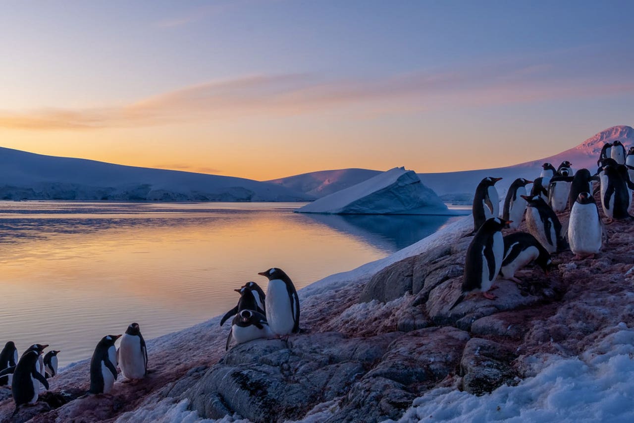 Teams face months in Antarctica on mission to save base from climate ...