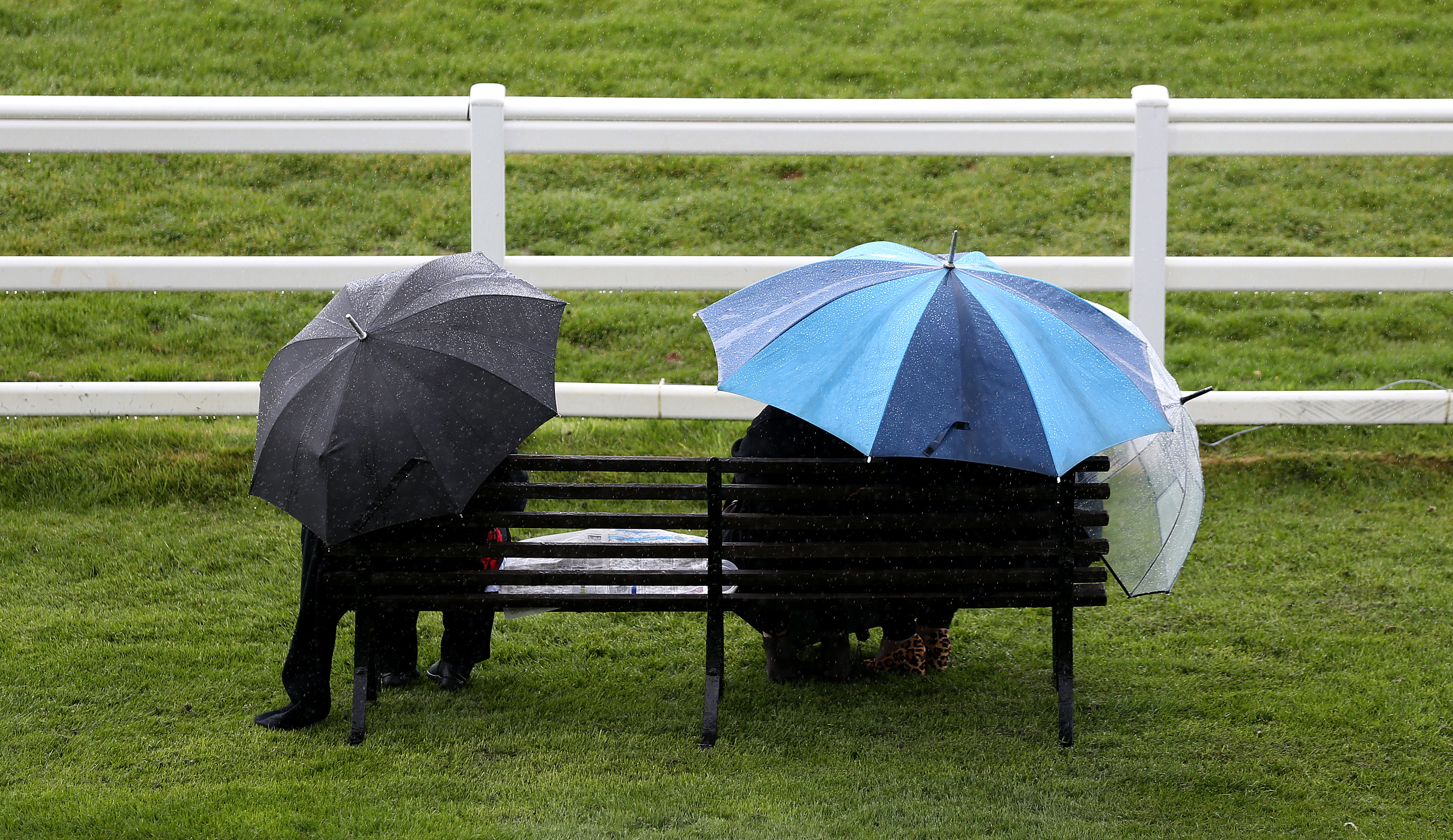 Lingfield will inspect on Wednesday at 10am to determine prospects for Saturday's card