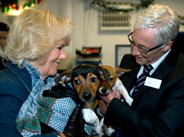 Royal visit to Battersea Dogs Home