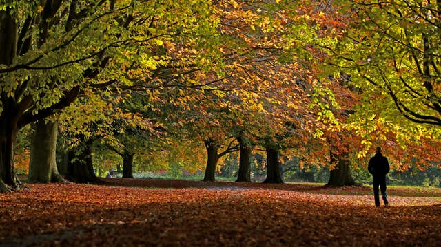 A lady walks her dogs (Peter Byrne/PA)