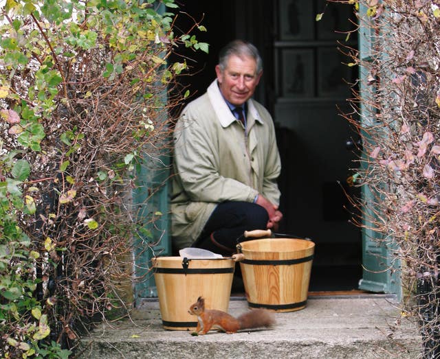 Charles with a red squirrel at Birkhall