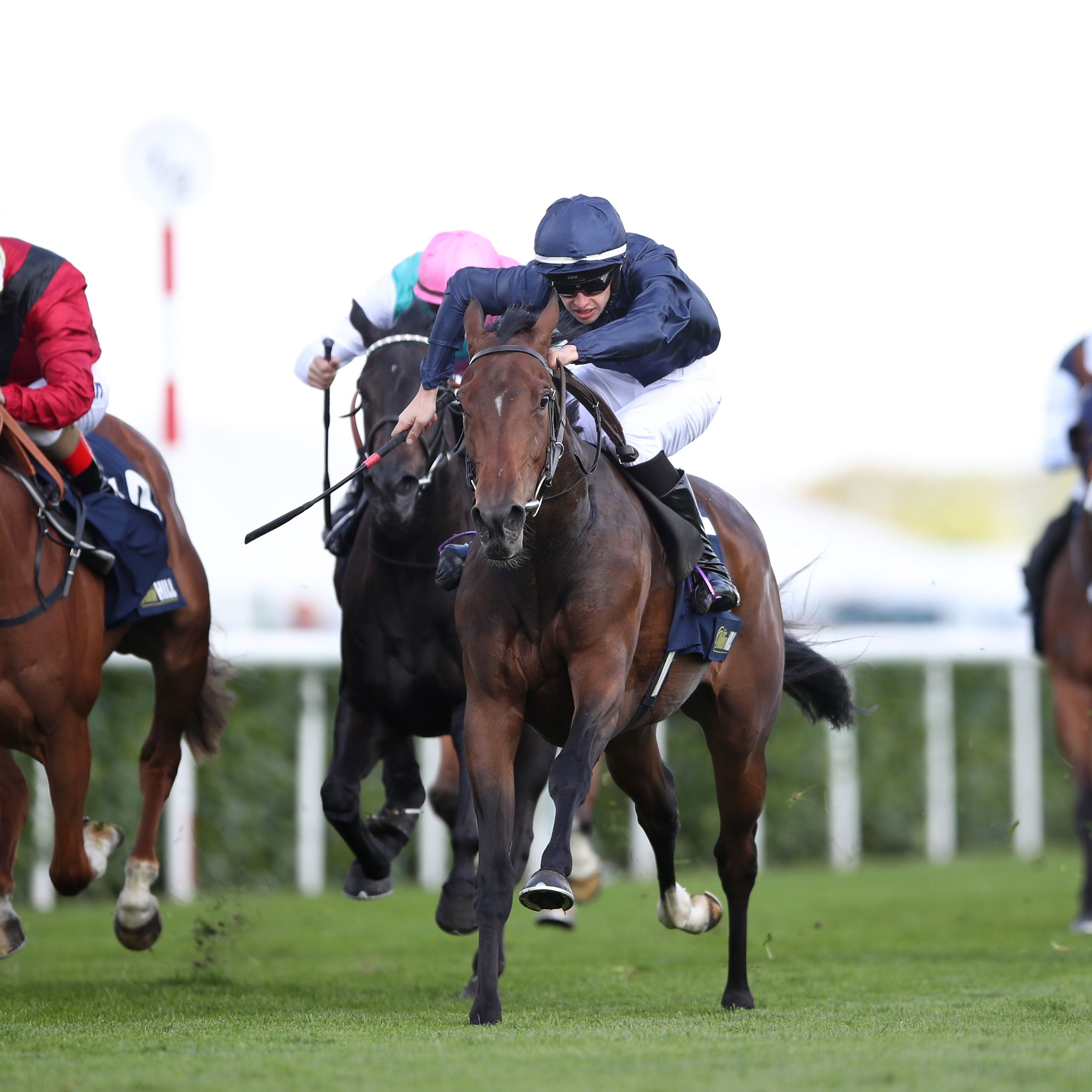 Fleeting (centre) has been added to the Ribblesdale Stakes