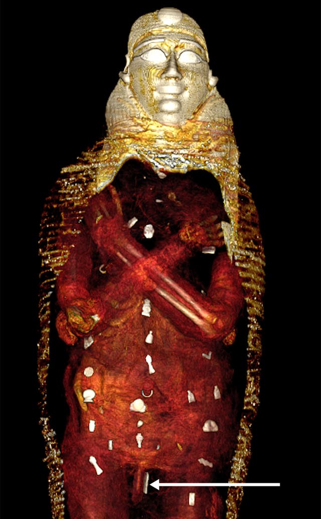 Ancient Egyptian mummy study