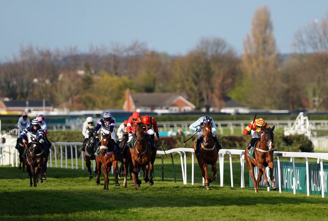 Hullnback (middle) finished behind Lookaway at Aintree