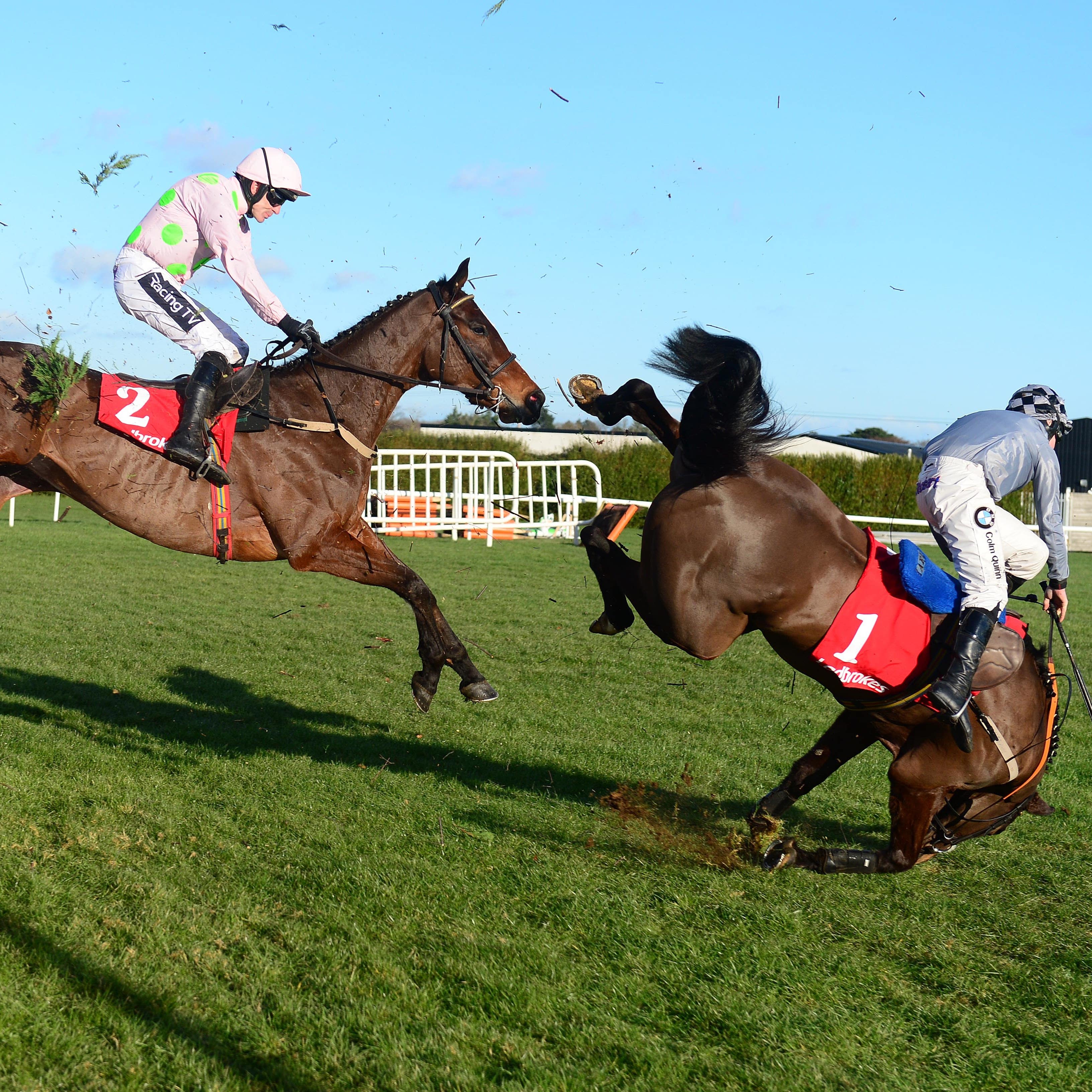Castlegrace Paddy was an early casualty