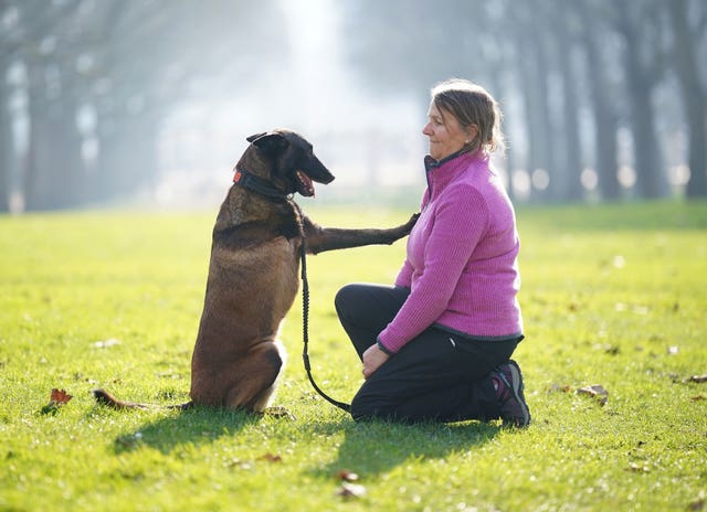 Mandy Chapman, 61, from Essex, with Baloo, an eight-year-old Belgian Malinois, during a launch event for Crufts 2025 in Green Park, London