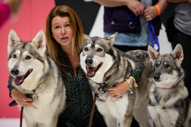 Alaskan Malamutes