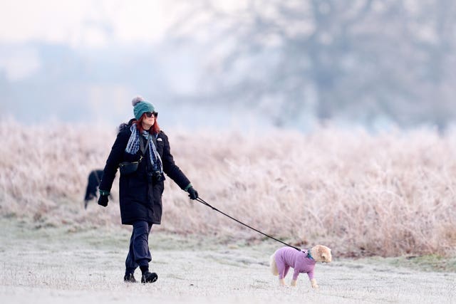 A dog wearing a pink coat being walked by its owner in Bushy Park in London