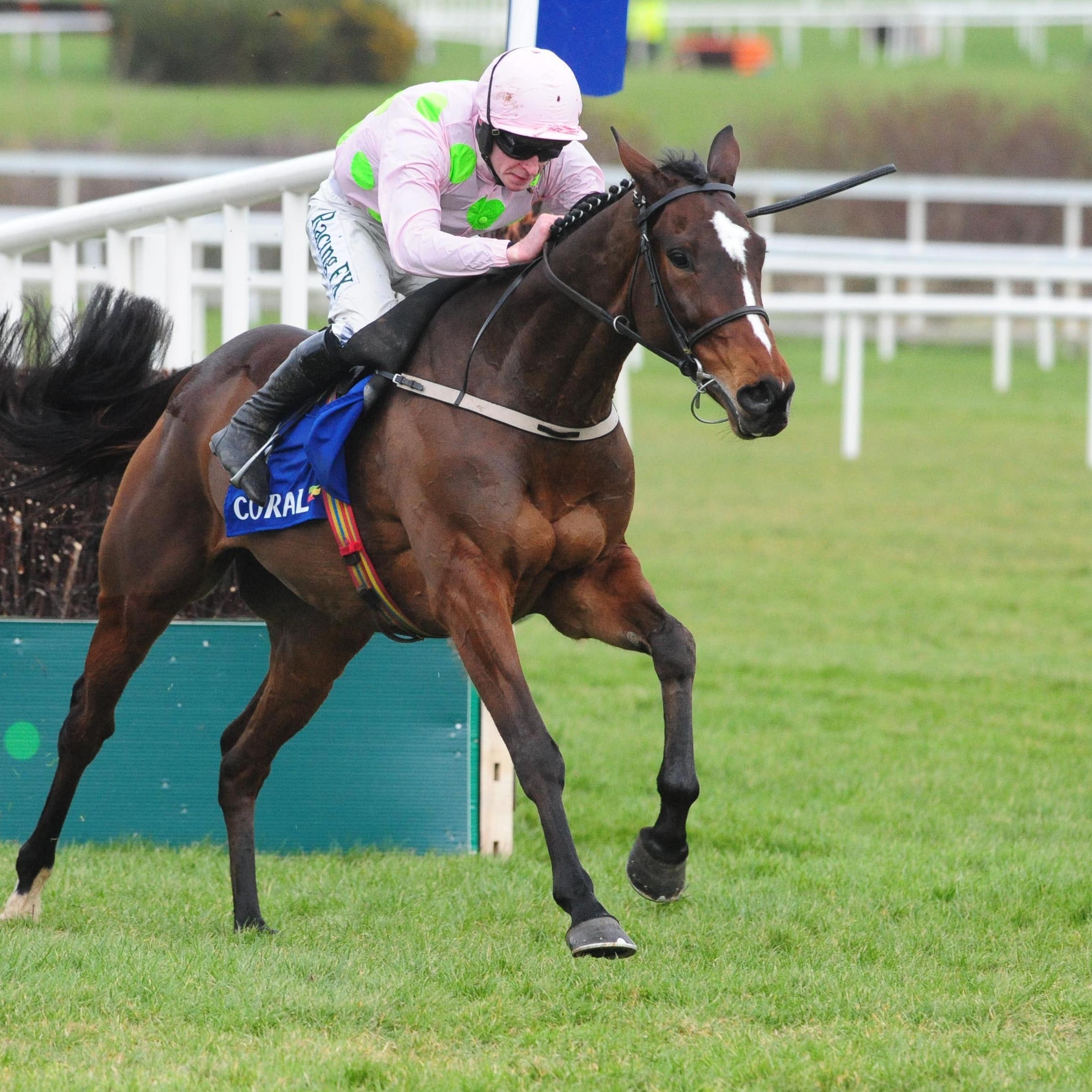 Min is one of 13 possible runners for Willie Mullins in the Ryanair Chase