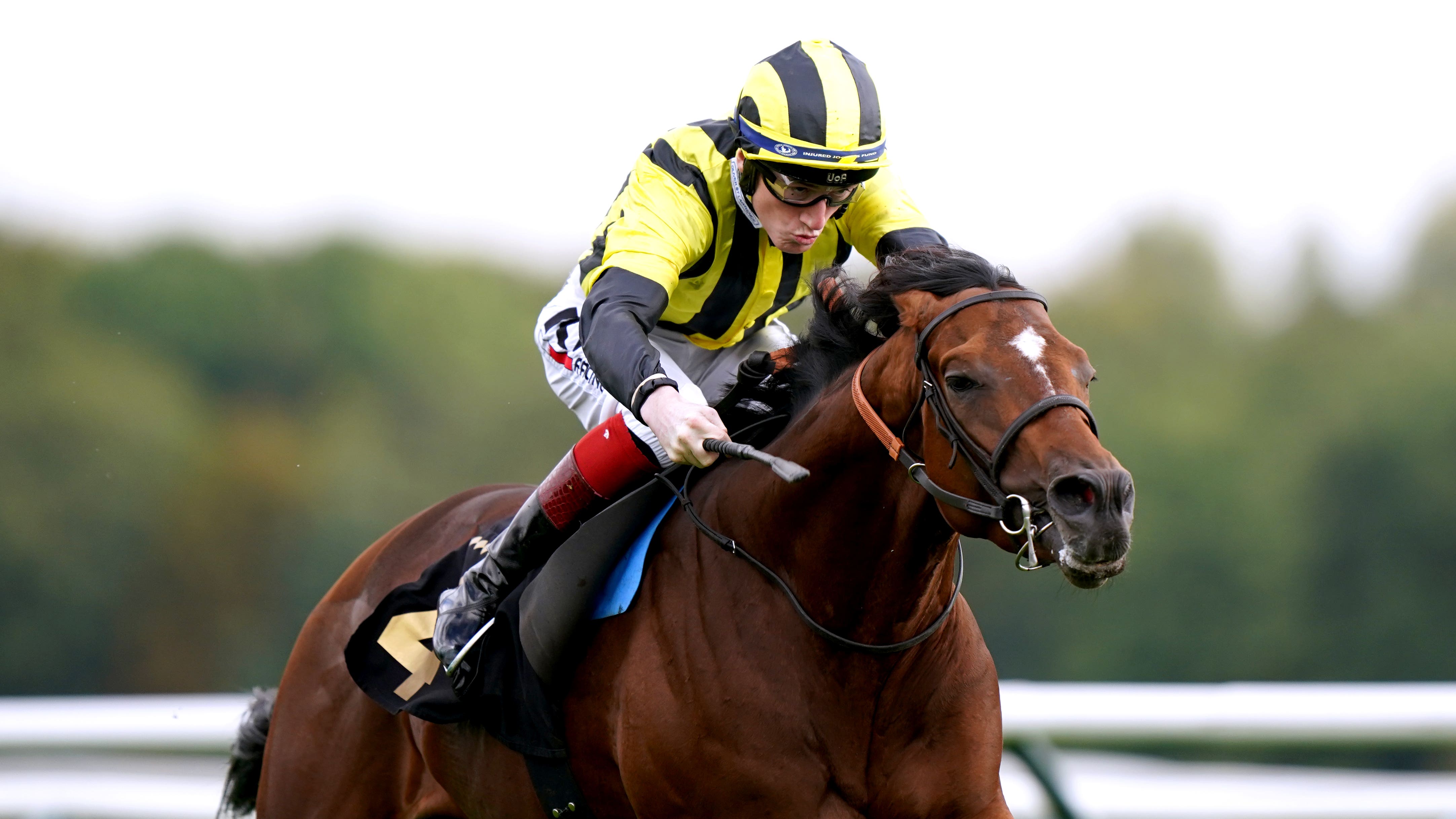 Royal Ascot: Eldar Eldarov ready to step up in Gold Cup