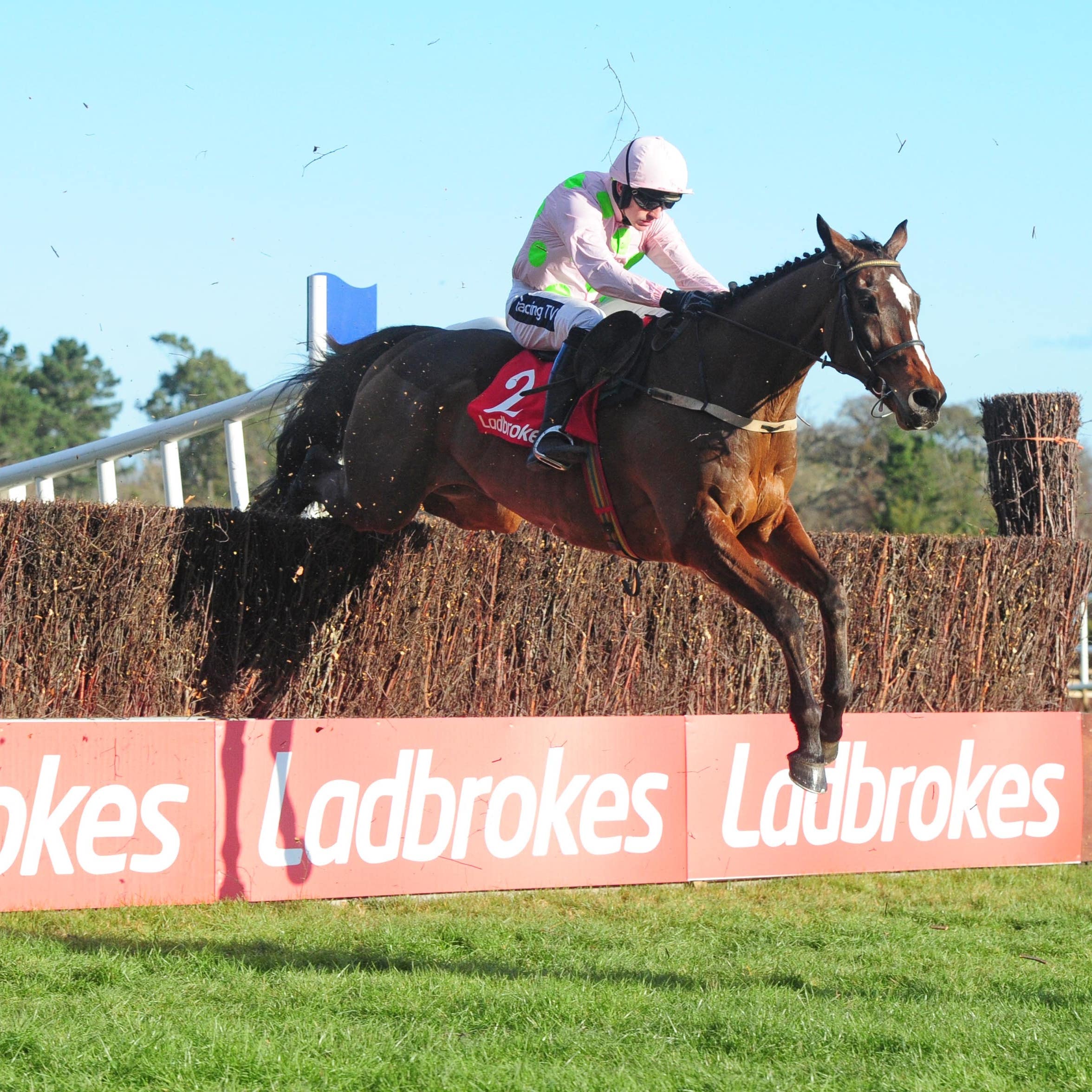 Min soars over the last to win well