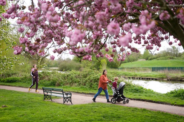 A jogger and a woman with a child in a push chair walk under flowering cherry blossom trees in St Nicholas’ Park, Warwick, in April