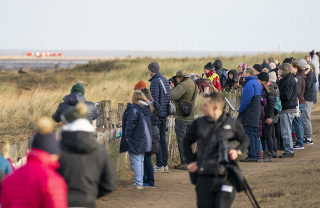 Members of the public view grey seals and their pups at Donna Nook National Nature Reserve in Lincolnshire, where grey seals come every year in late October, November and December to give birth 