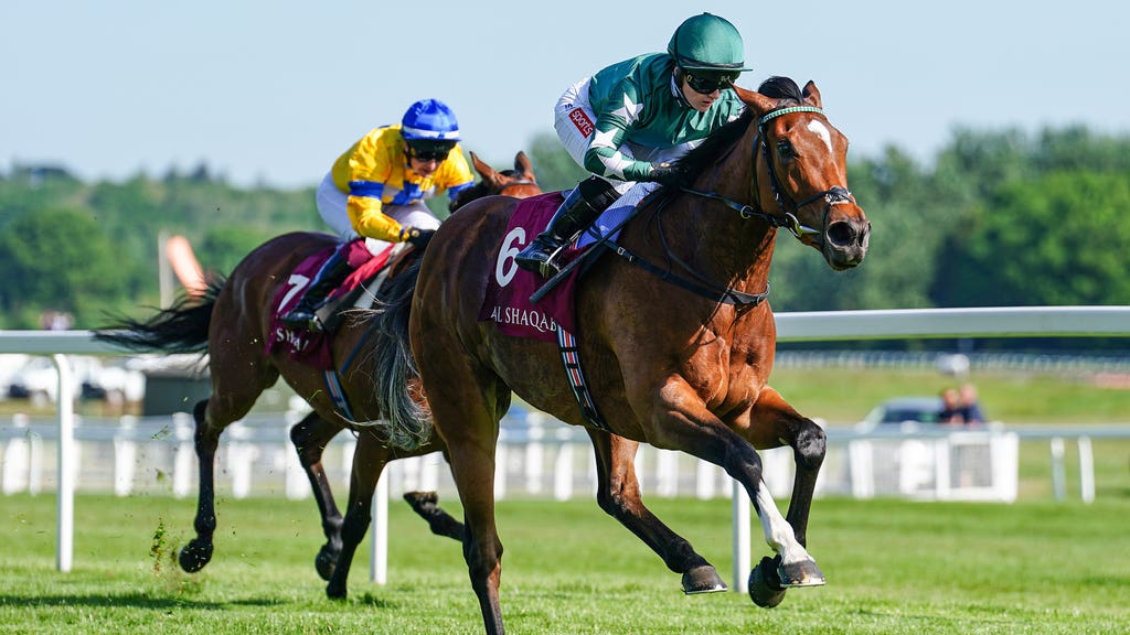 Nashwa is likely to head to Ireland