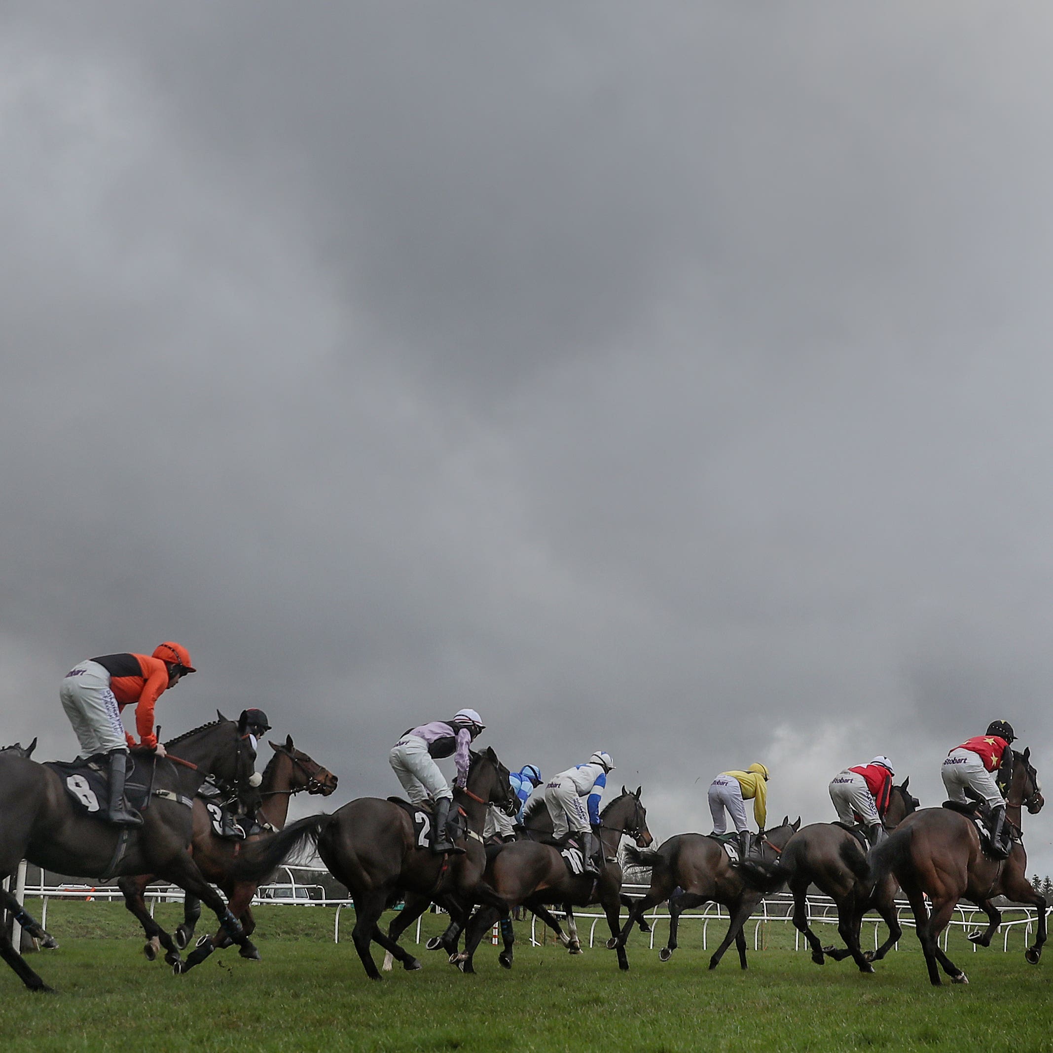Newbury is set to stage a big card on Saturday