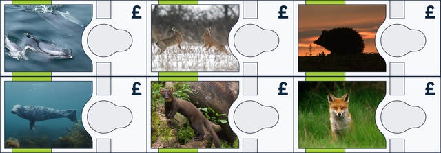 New banknote design example animals 