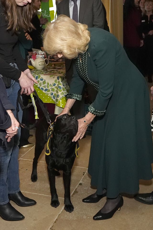Queen Camilla pets a dog