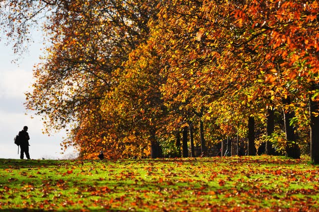 A visitor stands at the crest of a slope adjacent to Bridge’s Walk, Hyde Park