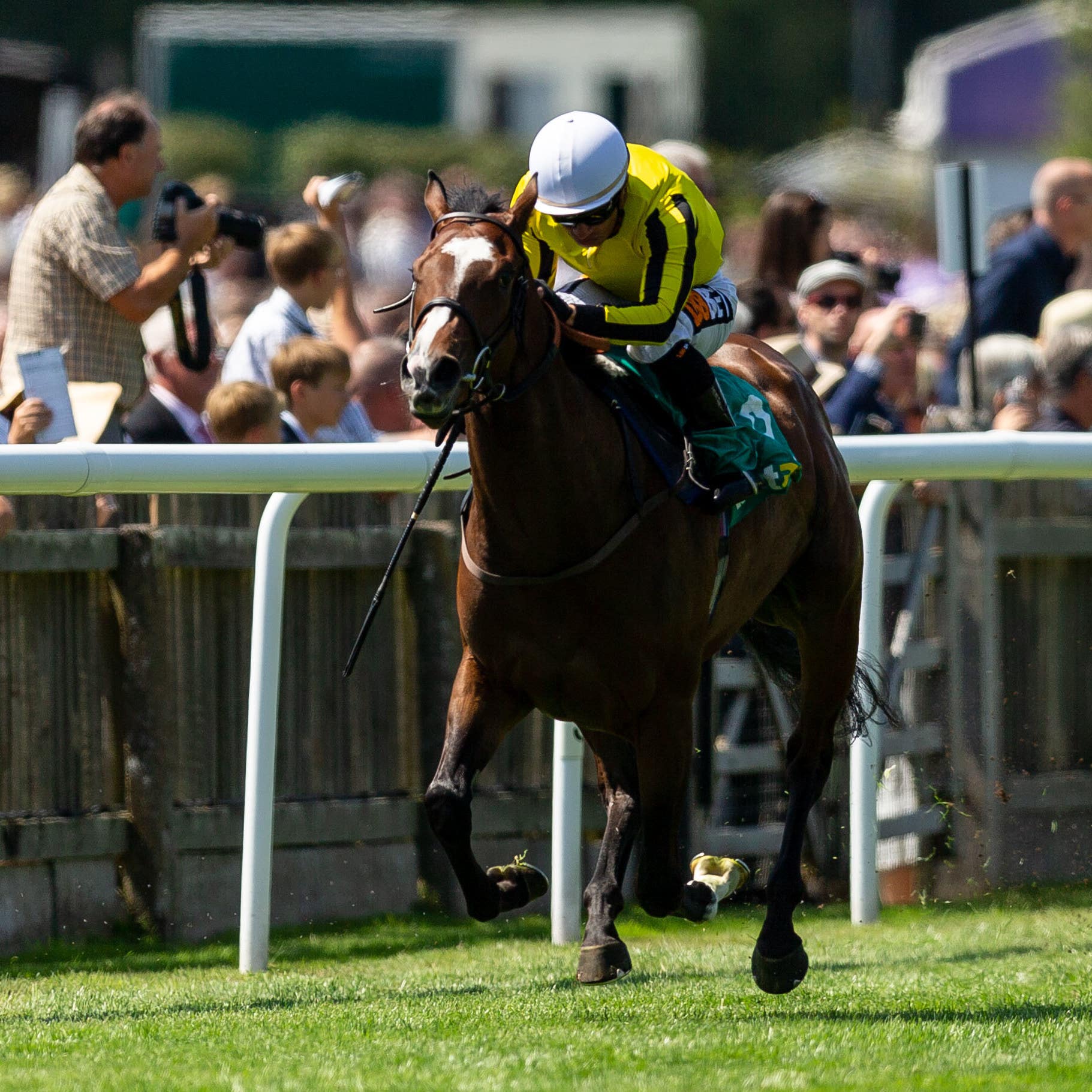 Pretty Pollyanna heads to France this weekend