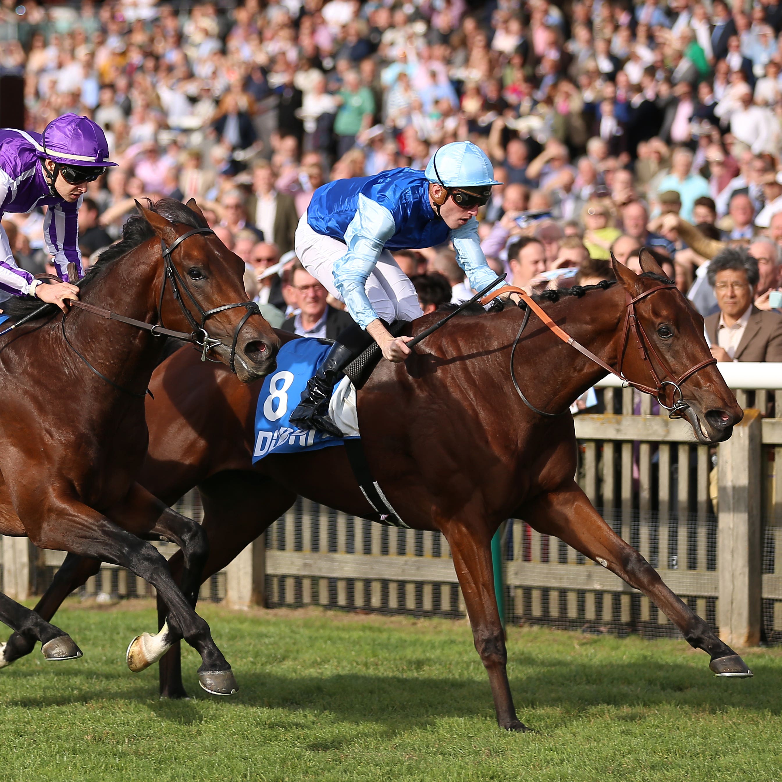 Persian King (right) holds Magna Grecia to win at Newmarket