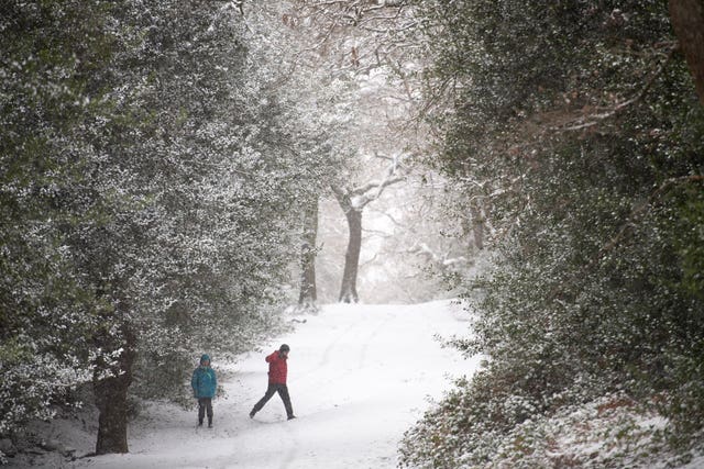 A winter walk in Sutton Park in Birmingham