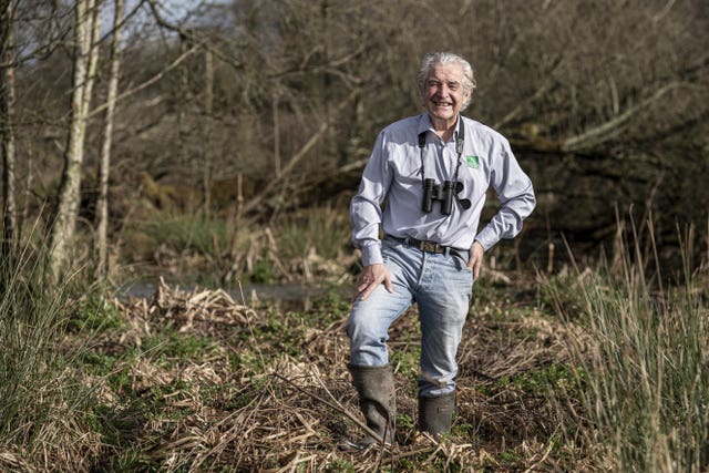 Wild releases of beavers in England given green light