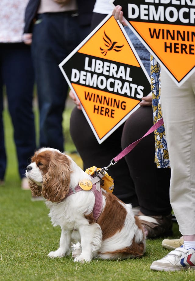 A dog wears a Liberal Democrat badge during a visit by Liberal Democrats leader Sir Ed Davey to Abbey Gardens in Winchester, Hampshire