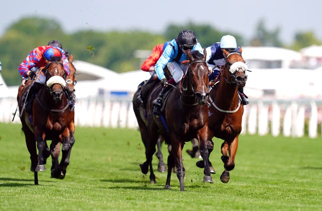 Asfoora was a winner for Australia at Royal Ascot 