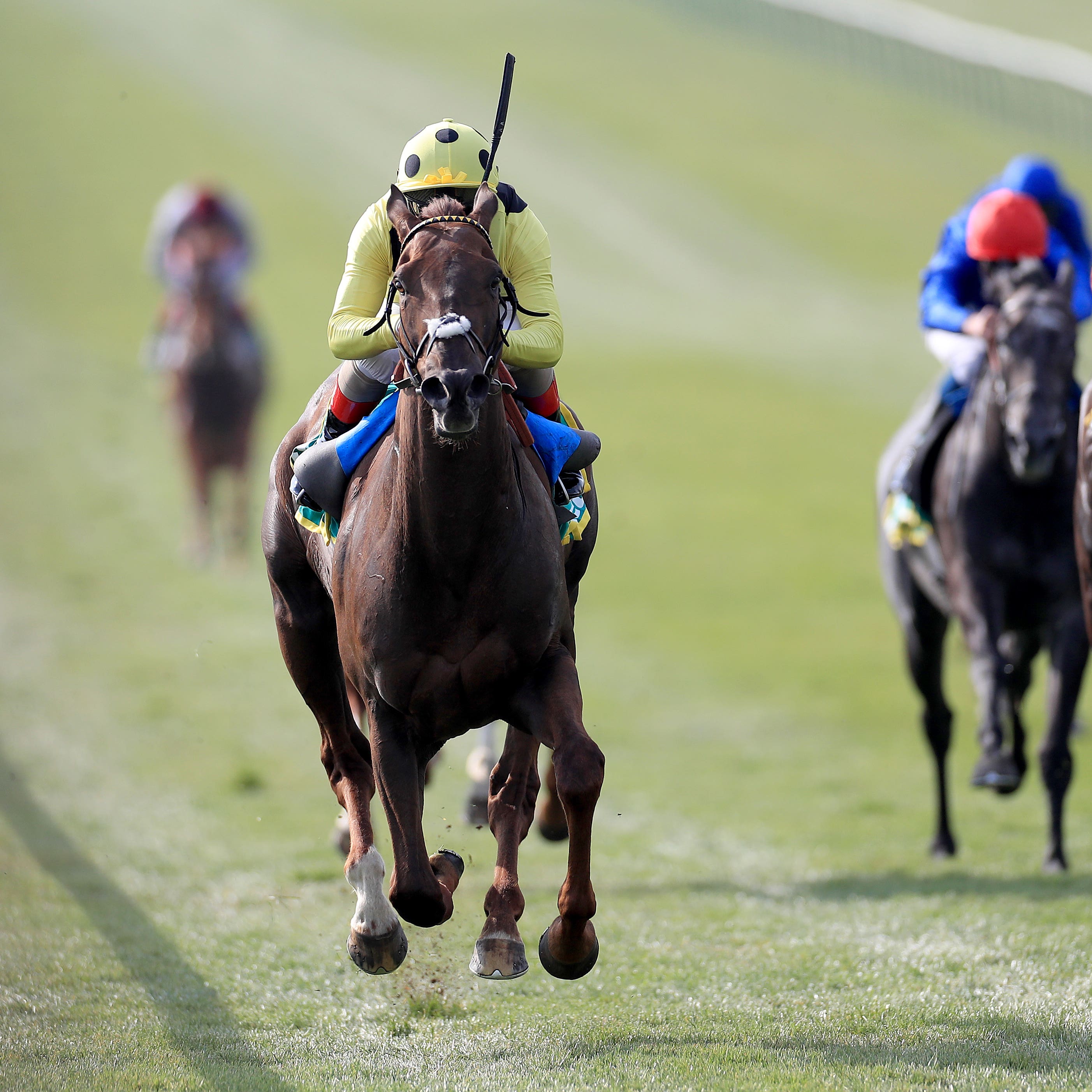 Zabeel Prince and Andrea Atzeni seen winning the Earl of Sefton Stakes at Newmarket (