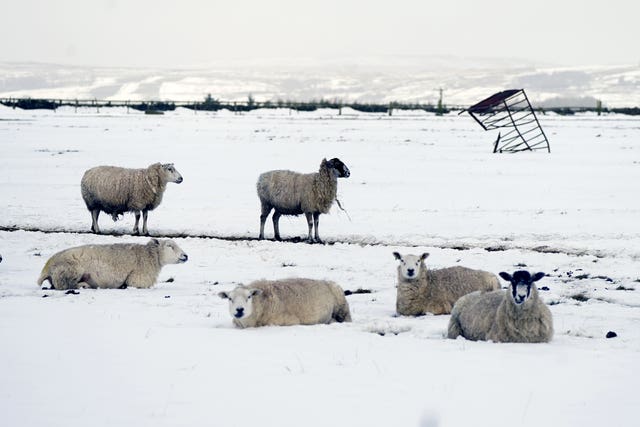 Snow in Yorkshire