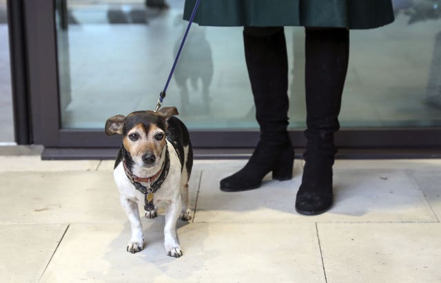 The Duchess with her her jack-russell terrier. Steve Parsons/PA