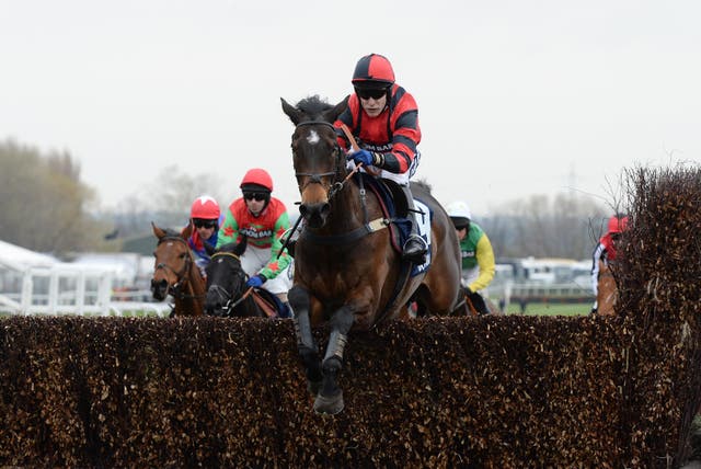 Next Sensation sparked joyous scenes for the Scudamore family at Cheltenham