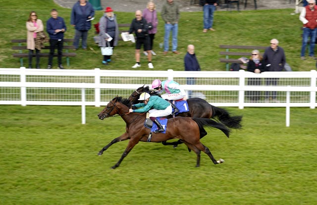 Remarquee (nearside) pictured winning as a juvenile 