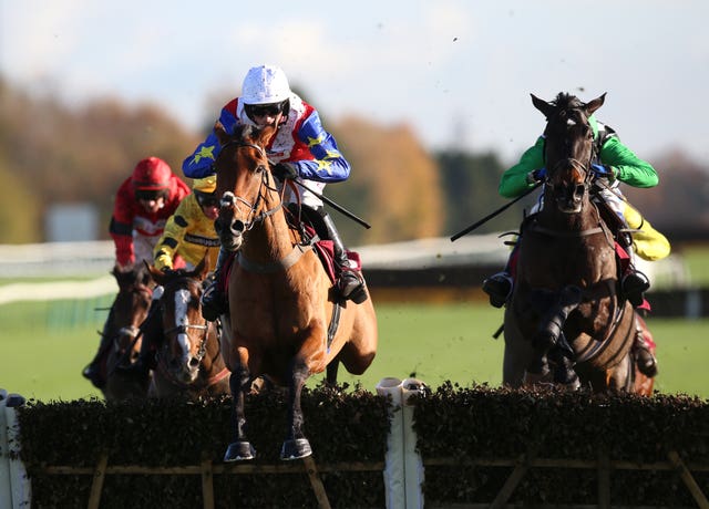 Tahmuras and Cobden at Haydock