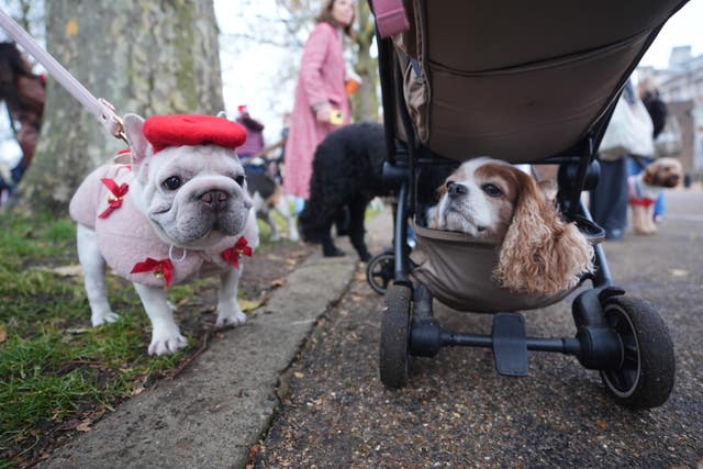 Christmas Jumper Parade