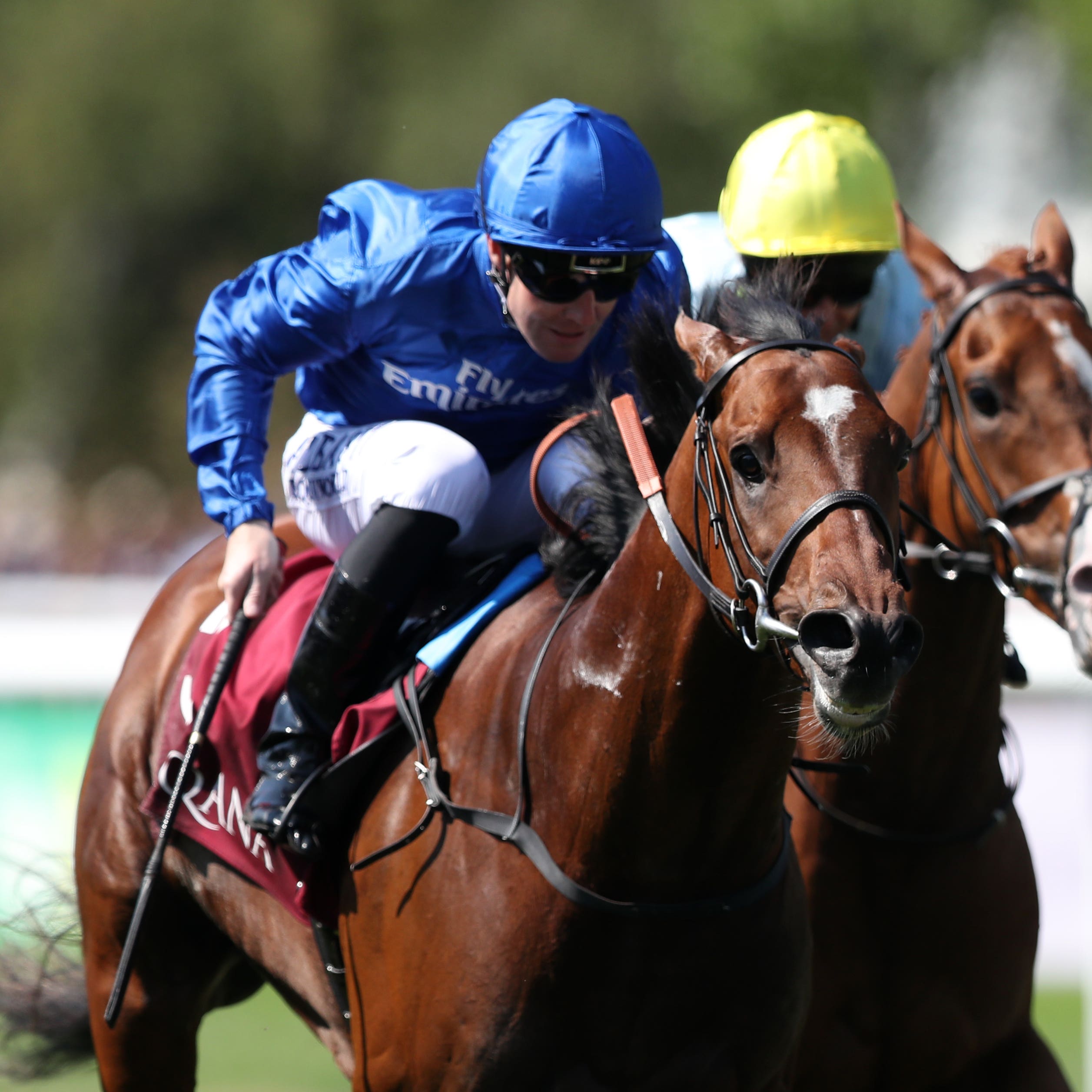 Best Solution bounced back to form last time out
