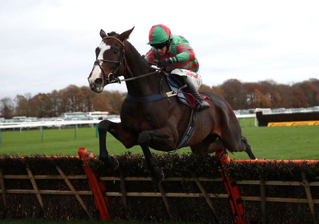 Tommy’s Oscar takes his chance in the Champion Hurdle after winning his last four races