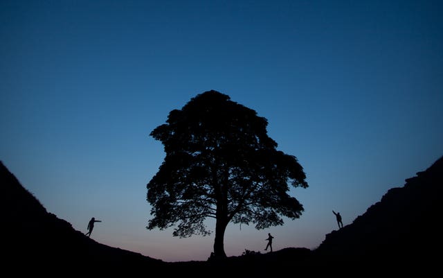 People take an evening walk at Sycamore Gap in Northumberland