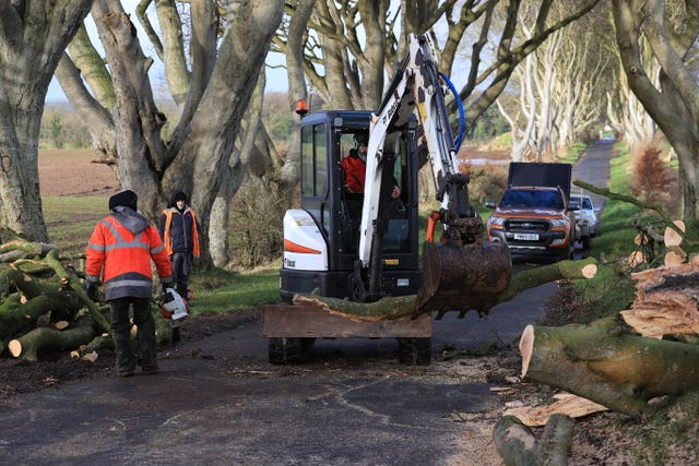 Workmen dealing with storm-damaged trees