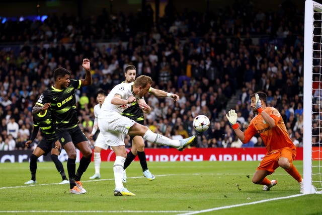 Tottenham Hotspur v Sporting Lisbon – UEFA Champions League – Group D – Tottenham Hotspur Stadium